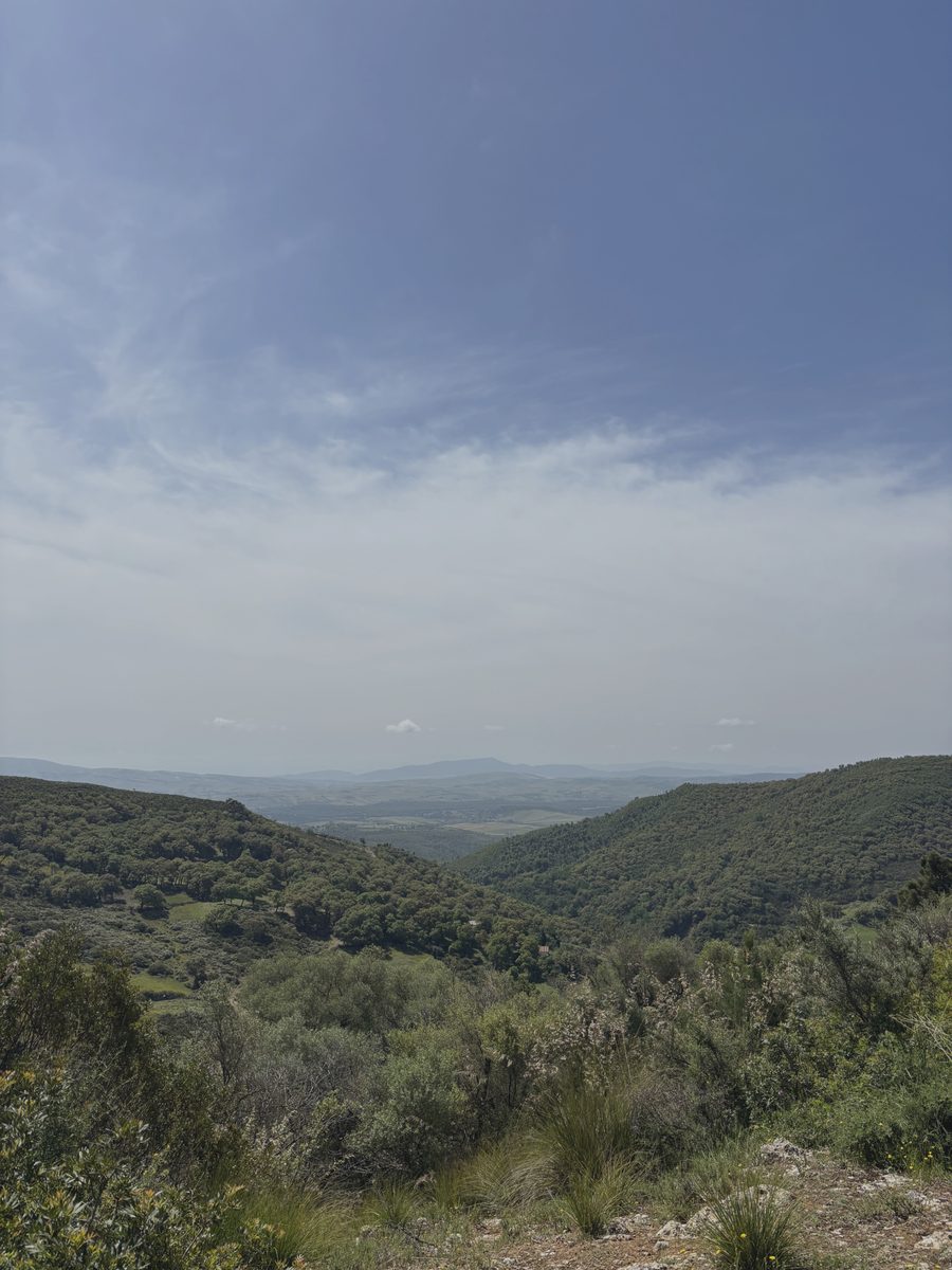 Paysage nature Trinergy